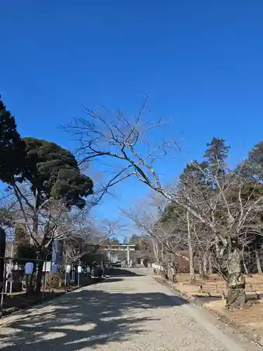 茨城縣護國神社(茨城県)