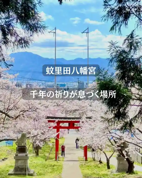 蚊里田八幡宮の{uncategorized: "未分類", other: "その他", undefined: "問題あり", building: "その他建物", grave: "お墓", sacred_gate: "鳥居", guardian: "狛犬", statue: "像", buddha: "仏像", history: "歴史", nature: "自然", garden: "庭園", animal: "動物", pagoda: "塔", temizu: "手水舎", mountain_gate: "山門・神門", sanctuary: "本殿・本堂", subordinate: "末社・摂社", art: "芸術", scenery: "景色", jizo: "地蔵", ema: "絵馬", goshuin: "御朱印", omikuji: "おみくじ", items: "授与品その他", amulet: "お守り", goshuincho: "御朱印帳", eats: "食事", festival: "お祭り", votive_dance: "神楽", shichigosan: "七五三参", wedding: "結婚式", experience: "体験その他", initially: "初詣", around: "周辺", anti_infection: "感染症対策"}