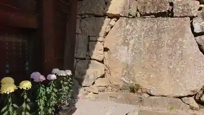 眞田神社の周辺