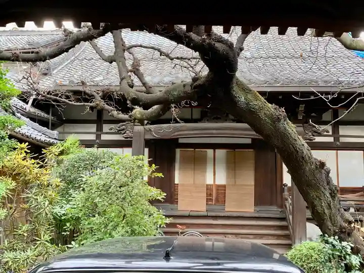 称名寺の本殿・本堂