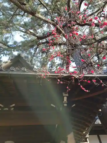 玄国寺(東京都)