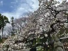 天台宗　長窪山　正覚寺の自然