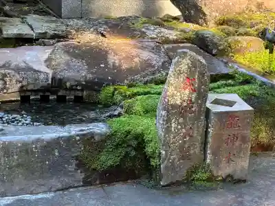 箱根神社(神奈川県)