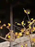 浄土寺(兵庫県)