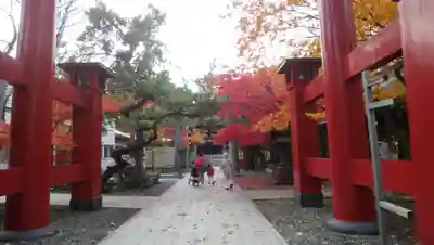 彌彦神社　(伊夜日子神社)の鳥居
