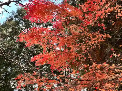 箸蔵寺(徳島県)