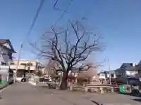 寺谷弁才天の自然