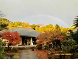 伊勢の国 四天王寺の本殿・本堂(2021年12月08日(水) 16時54分15秒投稿)