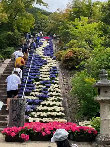 三室戸寺の庭園