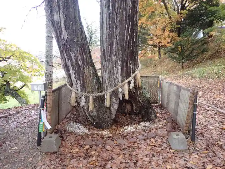 浦幌神社・乳神神社の自然