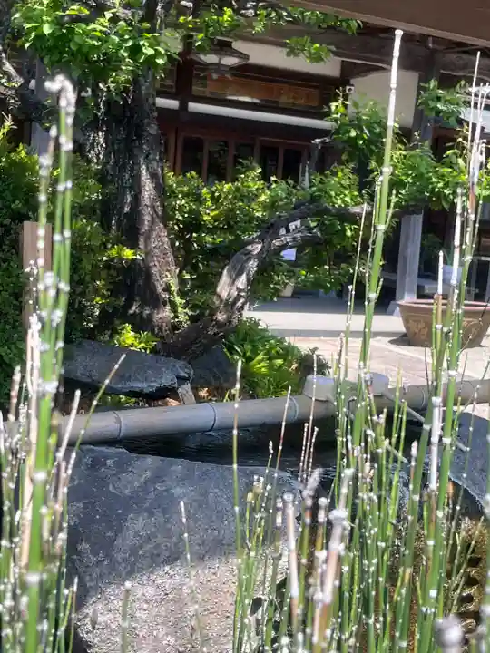 妙蓮寺(神奈川県)