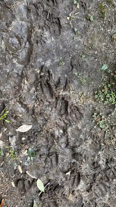 岡山稲荷大明神(奈良県)