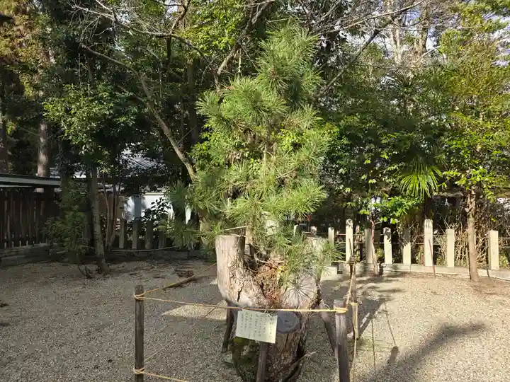 大和神社(奈良県)