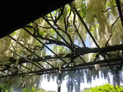 英勝寺のその他建物