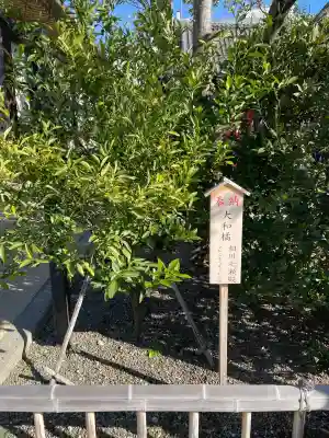 八剱八幡神社(千葉県)