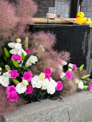 上尾御嶽神社の手水舎