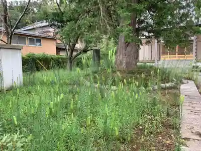 光厳寺(千葉県)