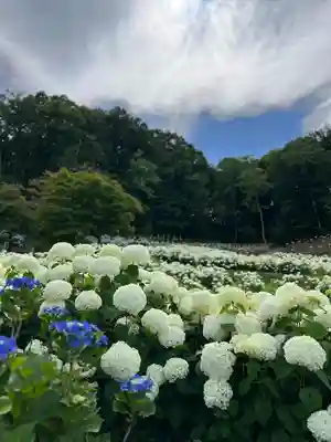 陽林寺(福島県)