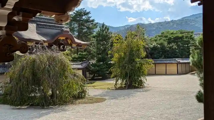 大覚寺(京都府)