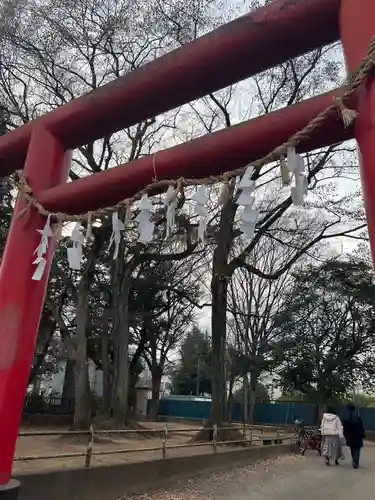 本太氷川神社(埼玉県)