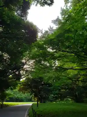 明治神宮(東京都)