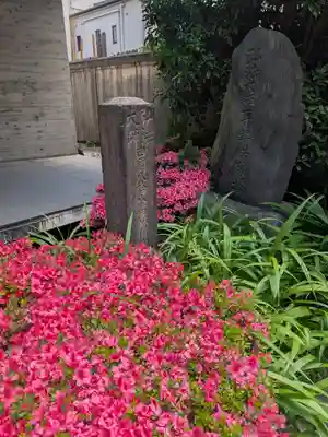 威光院(東京都)