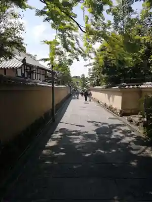高台寺（高台寿聖禅寺・高臺寺）の周辺