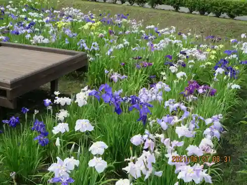 大鏑矢神社の自然