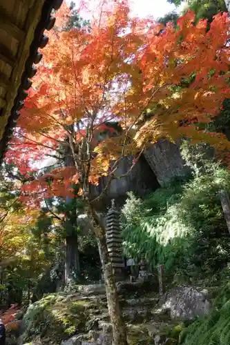 笠置寺の庭園