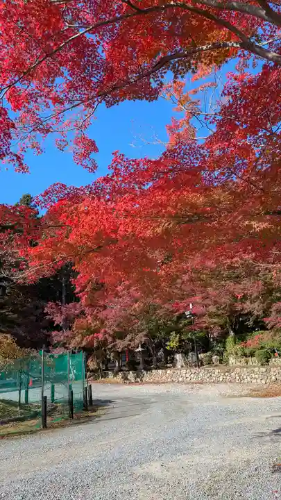 大原野神社(京都府)