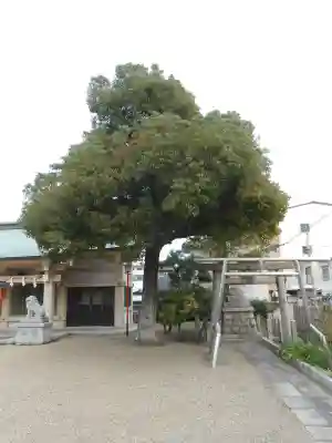 中島惣社(大阪府)