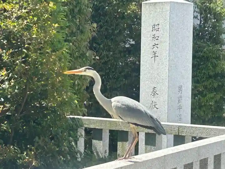 寒川神社の{uncategorized: "未分類", other: "その他", undefined: "問題あり", building: "その他建物", grave: "お墓", sacred_gate: "鳥居", guardian: "狛犬", statue: "像", buddha: "仏像", history: "歴史", nature: "自然", garden: "庭園", animal: "動物", pagoda: "塔", temizu: "手水舎", mountain_gate: "山門・神門", sanctuary: "本殿・本堂", subordinate: "末社・摂社", art: "芸術", scenery: "景色", jizo: "地蔵", ema: "絵馬", goshuin: "御朱印", omikuji: "おみくじ", items: "授与品その他", amulet: "お守り", goshuincho: "御朱印帳", eats: "食事", festival: "お祭り", votive_dance: "神楽", shichigosan: "七五三参", wedding: "結婚式", experience: "体験その他", initially: "初詣", around: "周辺", anti_infection: "感染症対策"}