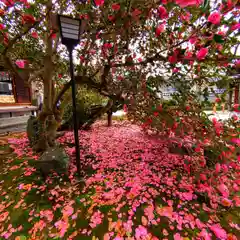 霊鑑寺門跡(京都府)