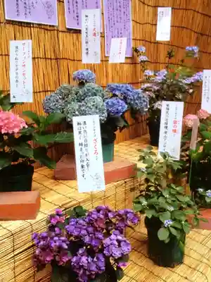十番稲荷神社(東京都)