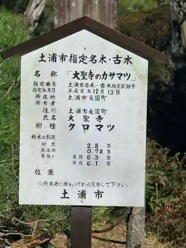 大聖寺（土浦大師不動尊）の{uncategorized: "未分類", other: "その他", undefined: "問題あり", building: "その他建物", grave: "お墓", sacred_gate: "鳥居", guardian: "狛犬", statue: "像", buddha: "仏像", history: "歴史", nature: "自然", garden: "庭園", animal: "動物", pagoda: "塔", temizu: "手水舎", mountain_gate: "山門・神門", sanctuary: "本殿・本堂", subordinate: "末社・摂社", art: "芸術", scenery: "景色", jizo: "地蔵", ema: "絵馬", goshuin: "御朱印", omikuji: "おみくじ", items: "授与品その他", amulet: "お守り", goshuincho: "御朱印帳", eats: "食事", festival: "お祭り", votive_dance: "神楽", shichigosan: "七五三参", wedding: "結婚式", experience: "体験その他", initially: "初詣", around: "周辺", anti_infection: "感染症対策"}