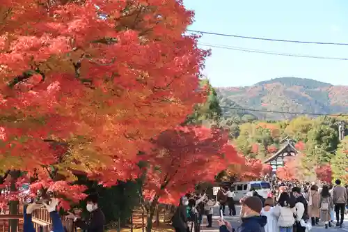 天龍寺(京都府)