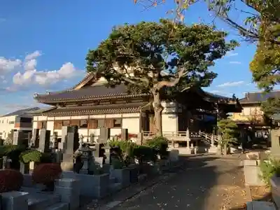 上正寺の本殿