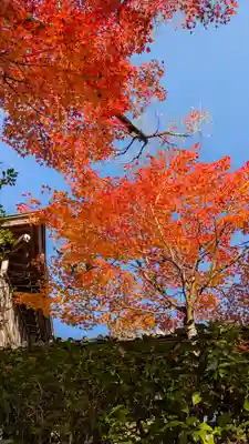 光悦寺(京都府)