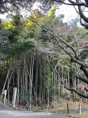 臼杵石仏(大分県)