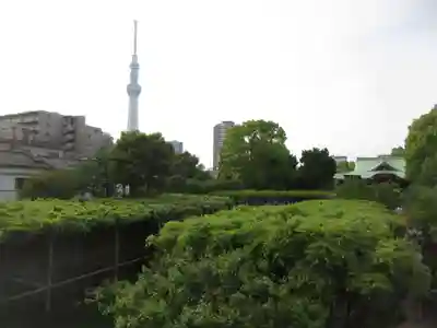 亀戸天神社(東京都)