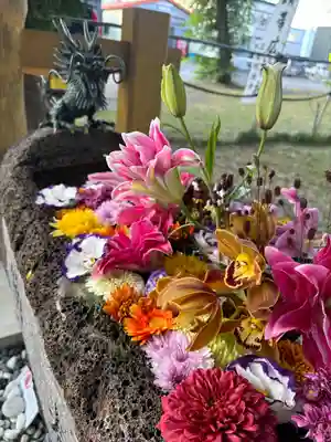 帯広三吉神社の手水舎