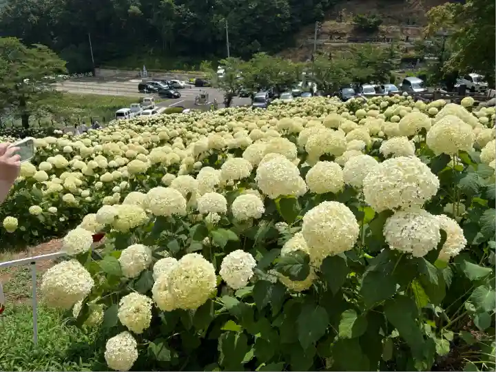 陽林寺(福島県)