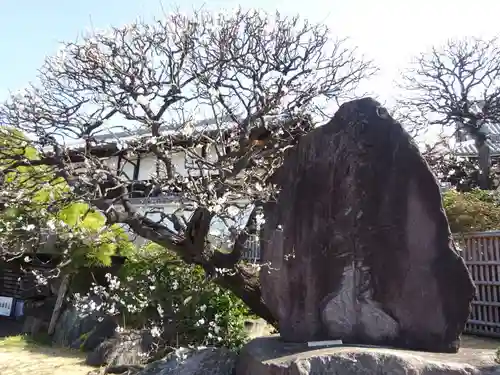 妙蓮寺のその他建物
