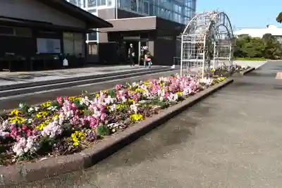 青島神社(青島神宮)(宮崎県)