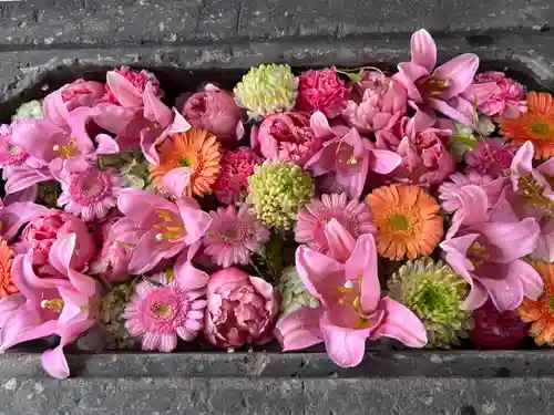 北広島市総鎮守　廣島神社(北海道)