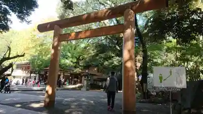 乃木神社の鳥居