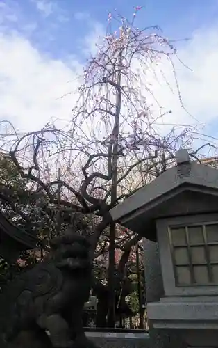 牛天神北野神社の狛犬