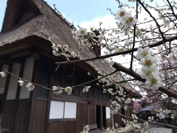菟越神社(福井県)
