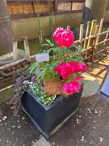 上野東照宮(東京都)