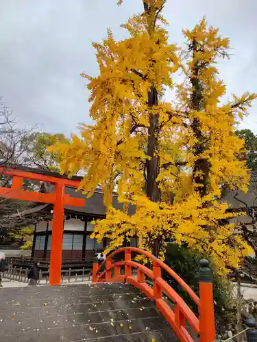 賀茂御祖神社（下鴨神社）(京都府)